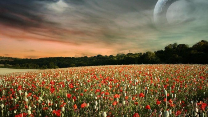 Django、Flask、FastAPI,Python 后端哪个更好?